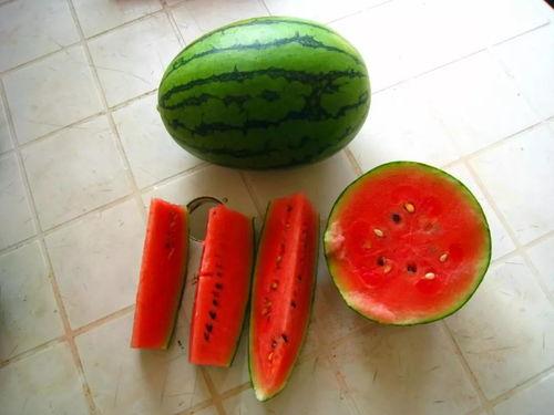 二茬瓜可以吃,美味与营养的双重享受