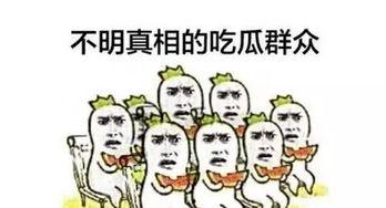 吃瓜都吃吐了,揭秘娱乐圈幕后真相
