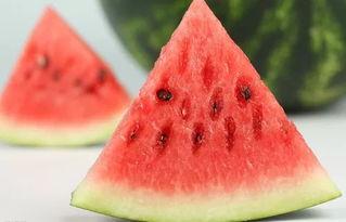 偷西瓜吃瓜,一场夏夜乡村的欢乐冒险