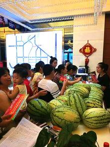 钱排吃瓜群众,揭秘娱乐圈幕后风云