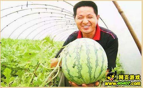 什么叫上墙吃瓜,网络热词背后的社交现象