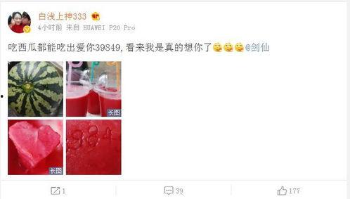 吃瓜网在线吃瓜免费观看网站,在线吃瓜新体验