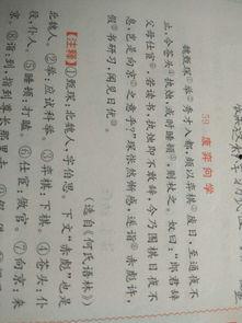 带你吃瓜古文翻译,带你领略古代“瓜圈”文化