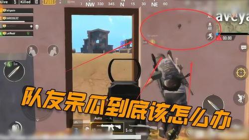 吃鸡小队呆瓜,吃鸡战场上的欢乐逗比之旅