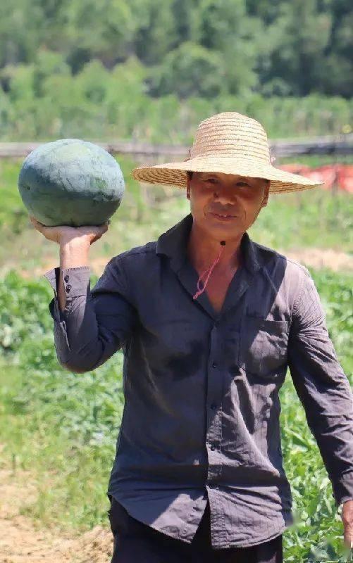 沙集吃瓜比赛,一场夏日里的欢乐盛宴