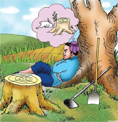 吃瓜群众守株待兔,吃瓜群众的智慧与等待