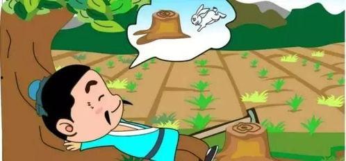 吃瓜群众守株待兔,吃瓜群众的智慧与等待