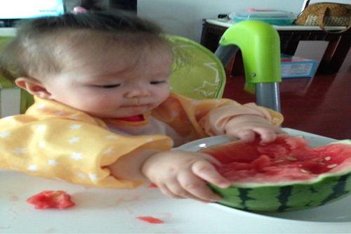 吃瓜占卜娃,趣味占卜背后的神秘力量