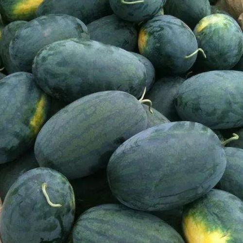 不停的在吃瓜,揭秘娱乐圈的“吃瓜”狂欢