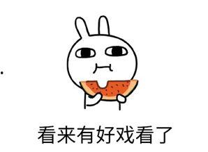 吃瓜不想走,不想离场！