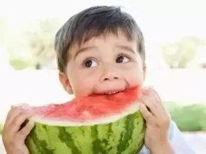 吃瓜很重要,为何吃瓜在当代生活中如此重要