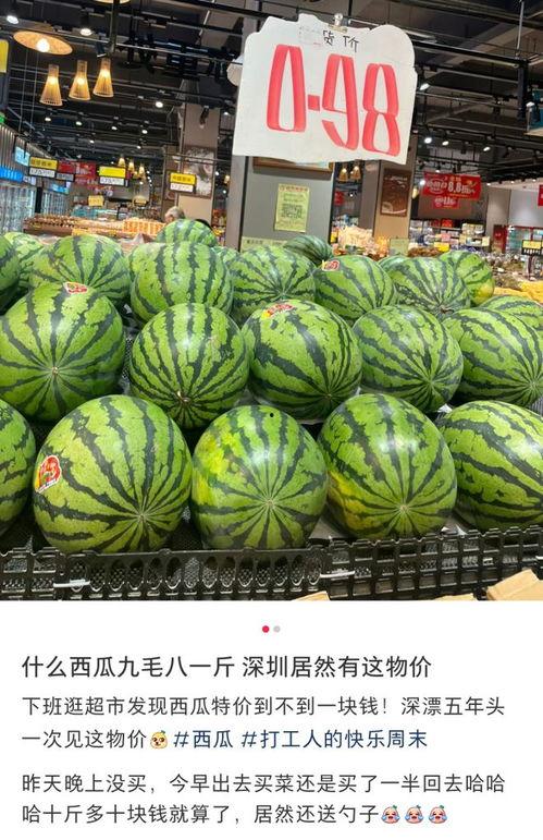 吃瓜视频大全图片,揭秘娱乐圈幕后故事