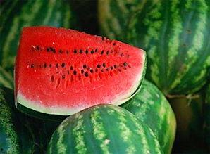 做手术可以吃洋瓜吗吗,洋瓜在恢复期的适宜摄入