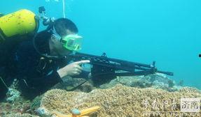 蛙人吃瓜场面,瓜果飘香引众瞩目