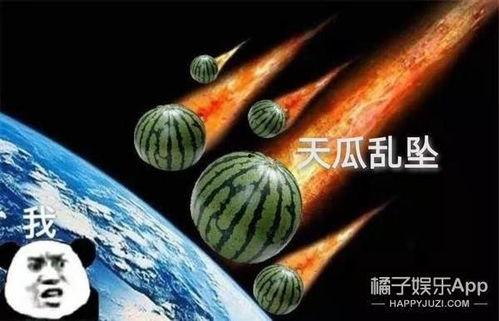 吃瓜日志,揭秘娱乐圈幕后故事