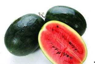 吃瓜cggo.51,51CGO的瓜界传奇