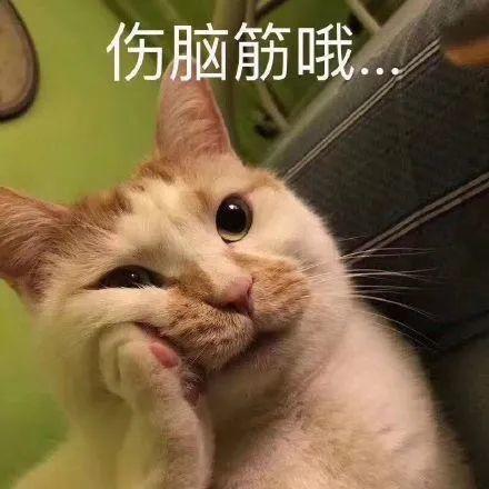 表情包小猫吃瓜,揭秘娱乐圈那些事儿