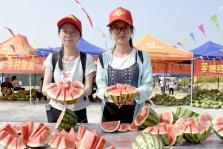 吃瓜投稿广西,揭秘当地特色美食与风土人情