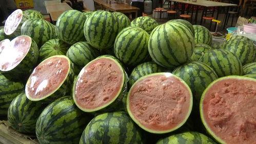 自由吃瓜的说说