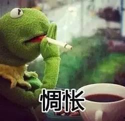 师生恋吃瓜,揭秘师生恋背后的真相与争议