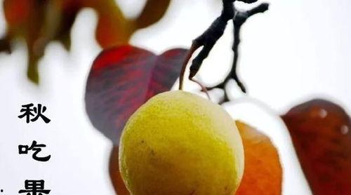 二宝吃瓜模式,揭秘娱乐圈幕后风云