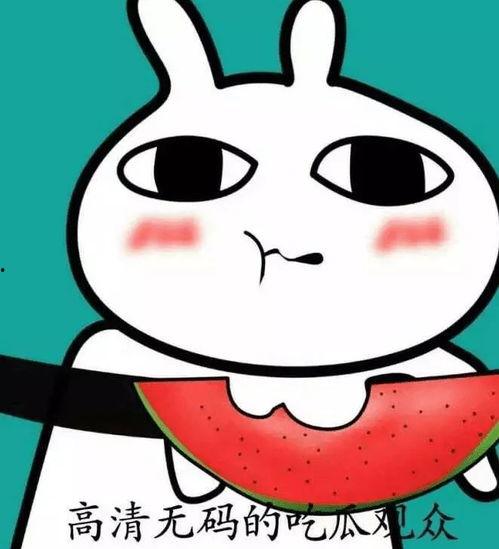 哈哈吃瓜头像男,揭秘哈哈吃瓜头像背后的男生风采
