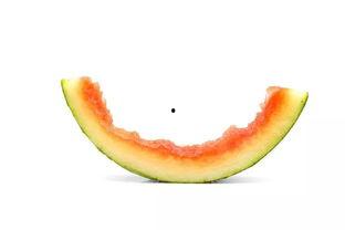 盛夏吃瓜的由来,探寻吃瓜文化的源远流长