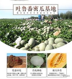 宁波吃瓜群众分享