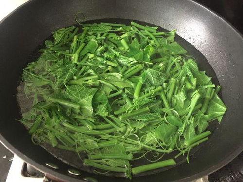 吃棚瓜尖,探寻农家美食的秘密