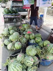 潍坊销售吃瓜事件,一场意外引发的舆论风波