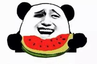 阿呕吃瓜,揭秘娱乐圈背后的那些事儿