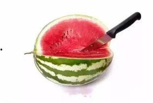 儿童吃蜜瓜呕吐,揭秘食品安全与儿童健康之谜
