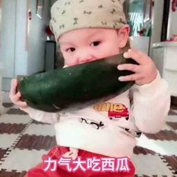宝宝吃瓜吃饭视频,吃瓜吃饭萌态百出