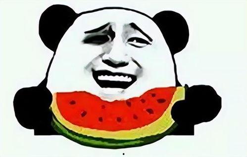 吃瓜红包怎么发,揭秘现象级传播背后的秘密