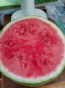 重庆医院吃瓜,一场吃瓜群众的围观盛宴