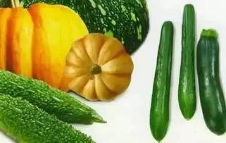 暮迟吃瓜,揭秘娱乐圈背后的秘密与真相