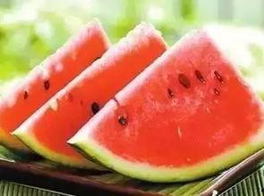 马吃瓜的图片,夏日田园风光尽收眼底