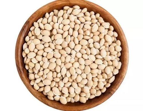 捧瓜吃豆人  第1张