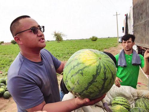 实地吃瓜,吃瓜群众的现场体验记