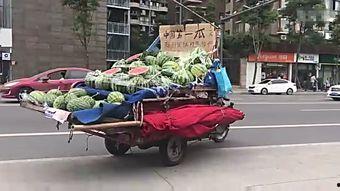 塞车时吃瓜趣事,瓜田里的欢乐时光