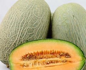 天天吃哈密瓜