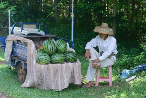 山东景点吃瓜女,揭秘当地特色美食之旅