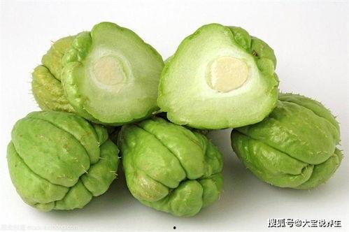 小狗可以吃佛手瓜,揭秘佛手瓜的可爱食趣