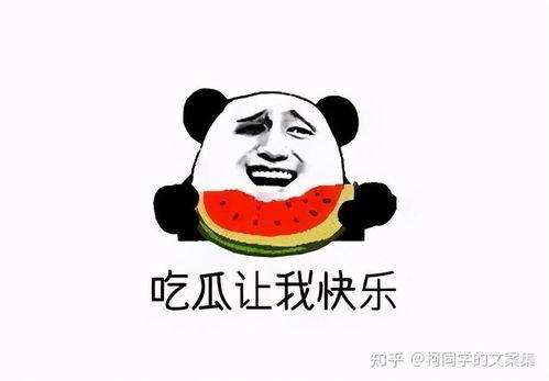 求吃瓜搞笑文案