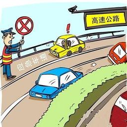 儿童吃瓜安全吗,营养与健康的双重考量
